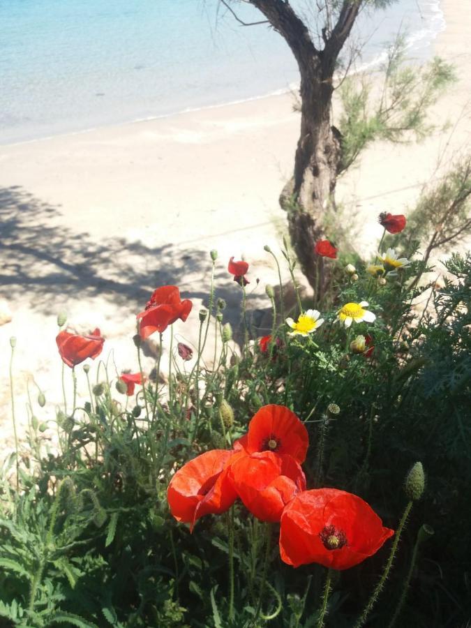 New Sea Escape Boutique Apt-Agii Aposto Li Beach Chania  Exterior foto